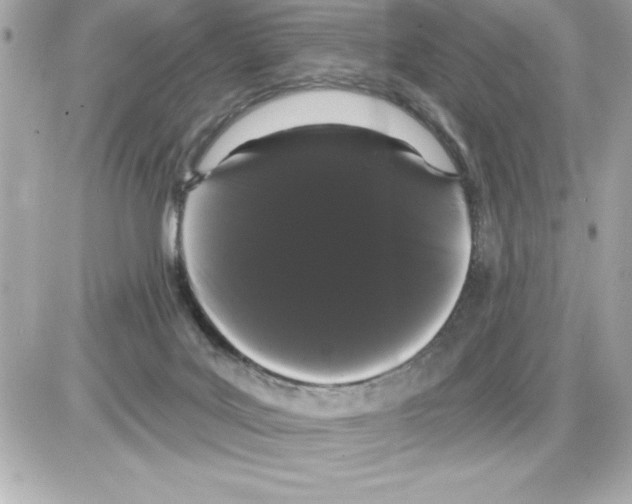 X0000085220027200704091943