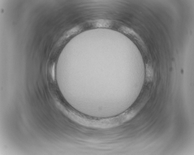 X0000085220028200704091943