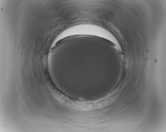 X0000085220029200704091943