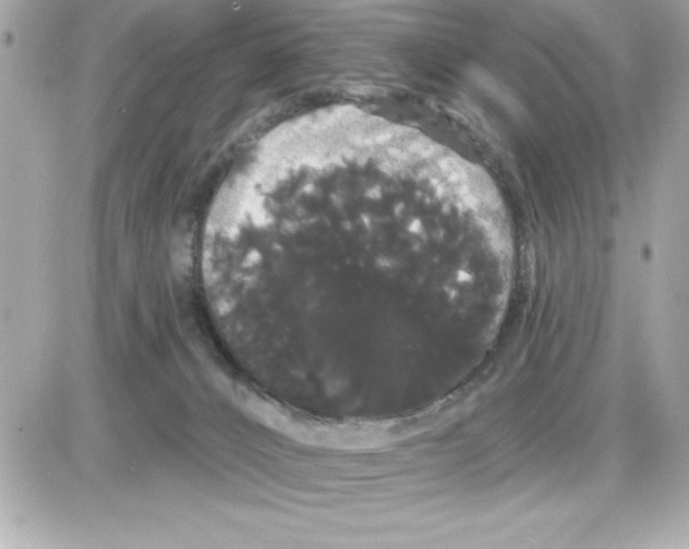 X0000085220032200704091943