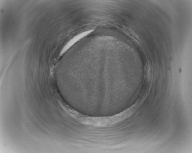 X0000085220033200704091943