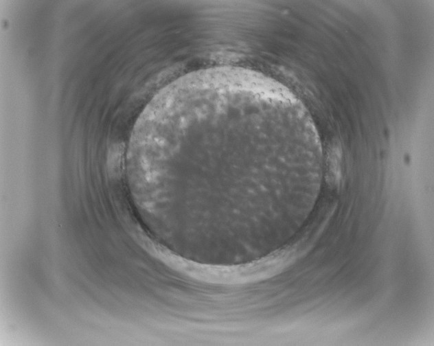 X0000085220034200704091943