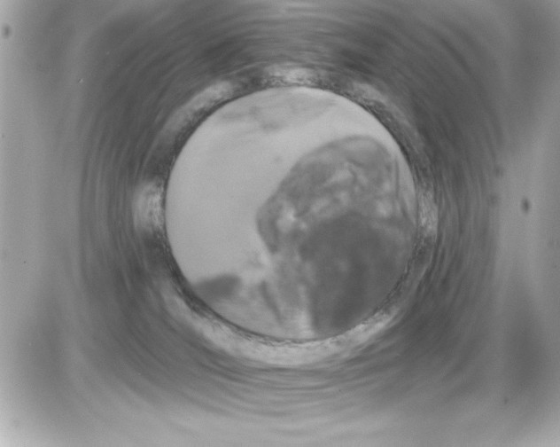 X0000085220036200704091943