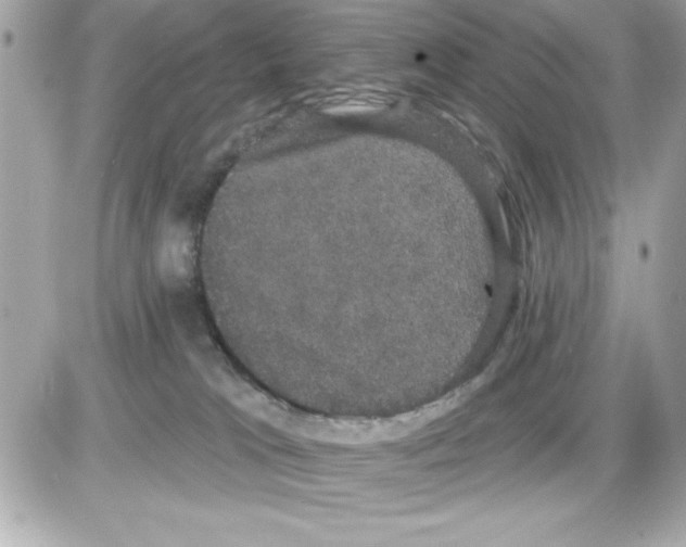 X0000085220037200704091943