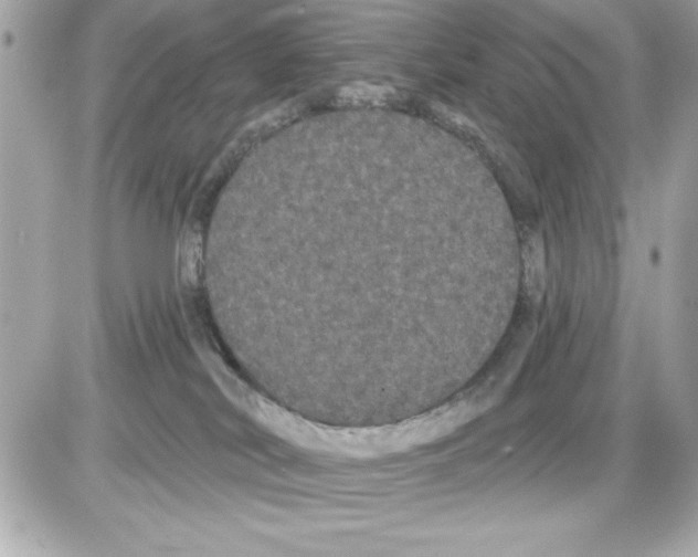 X0000085220038200704091943