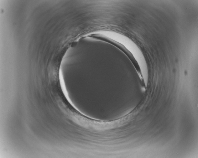 X0000085220039200704091943