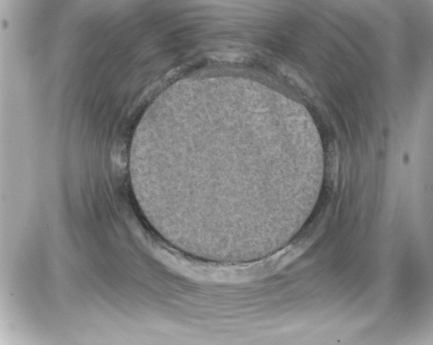 X0000085220040200704091943