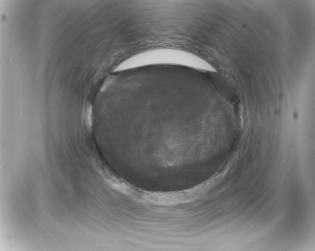 X0000085220041200704091943