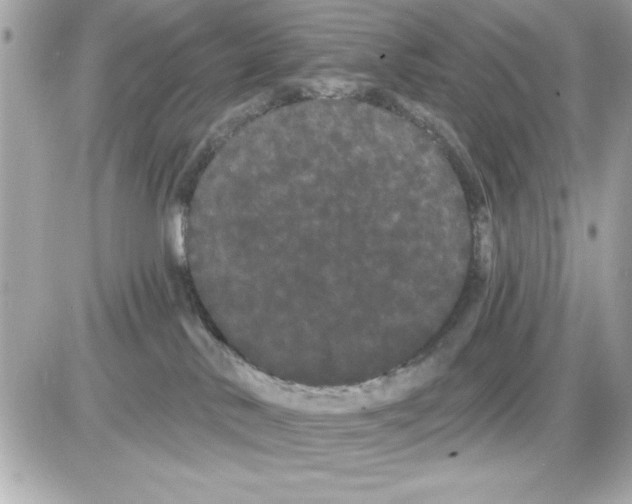 X0000085220042200704091943