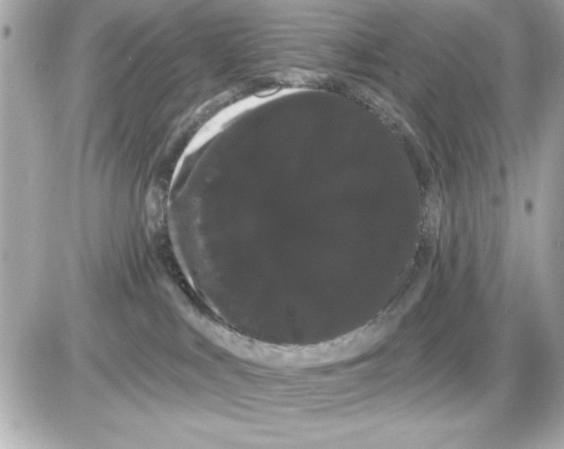 X0000085220043200704091943