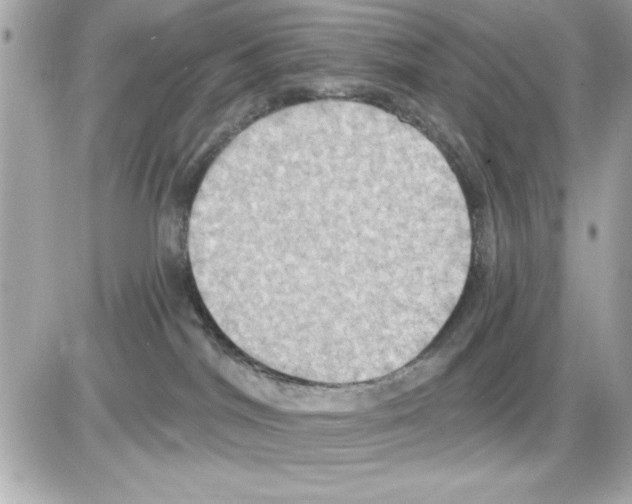 X0000085220044200704091943