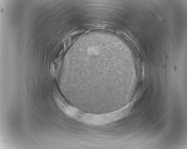 X0000085220045200704091943