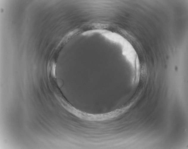 X0000085220046200704091943