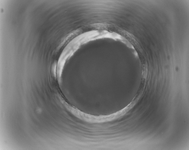 X0000085220047200704091943