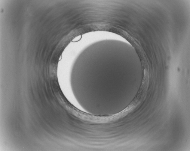 X0000085220048200704091943