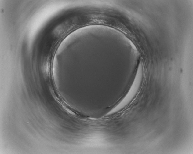 X0000085220052200704091942