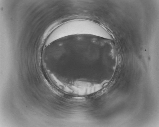 X0000085220053200704091942