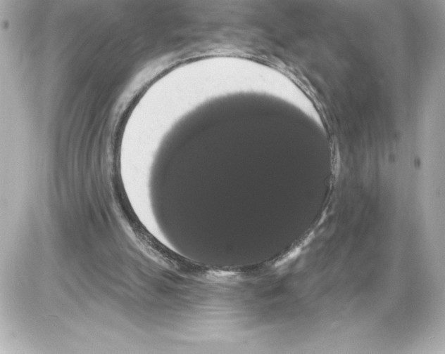 X0000085220055200704091942