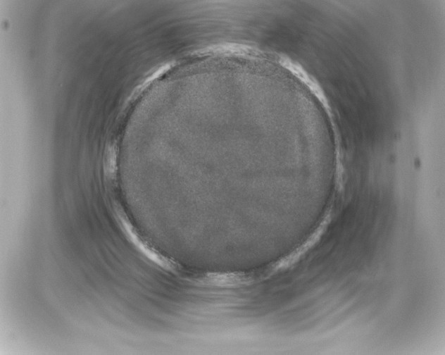 X0000085220057200704091942