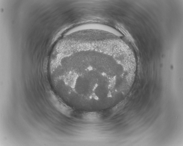 X0000085220058200704091942