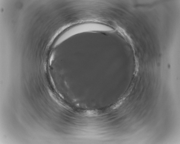 X0000085220060200704091942