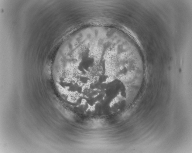 X0000085220065200704091942