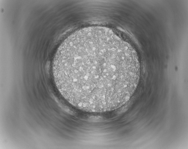 X0000085220066200704091942