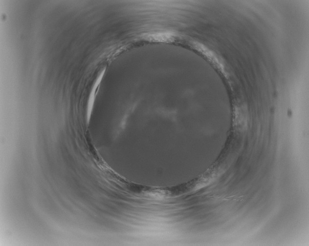 X0000085220069200704091942