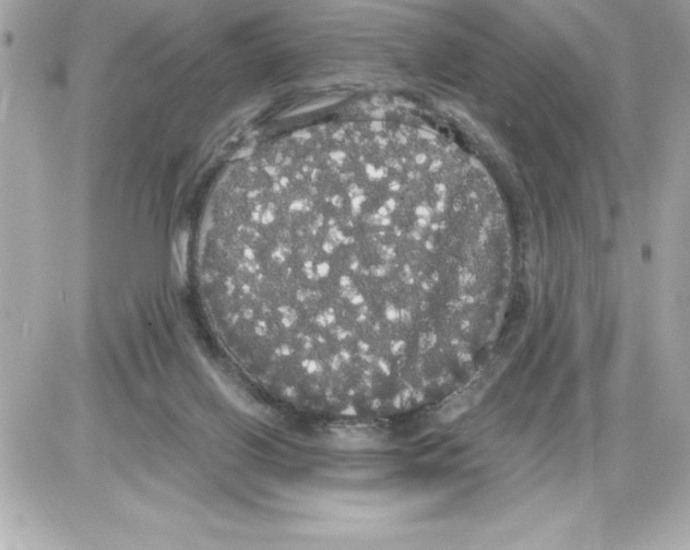 X0000085220070200704091942