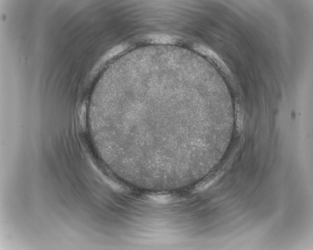 X0000085220071200704091942