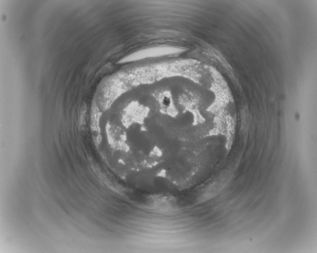 X0000085220073200704091942