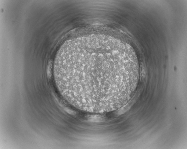 X0000085220074200704091942