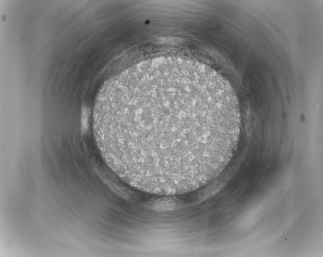 X0000085220075200704091942