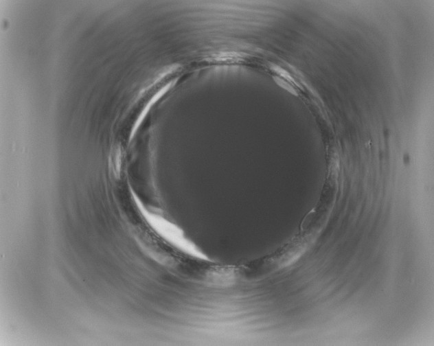 X0000085220076200704091942