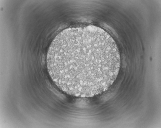 X0000085220077200704091942