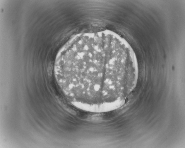 X0000085220078200704091943