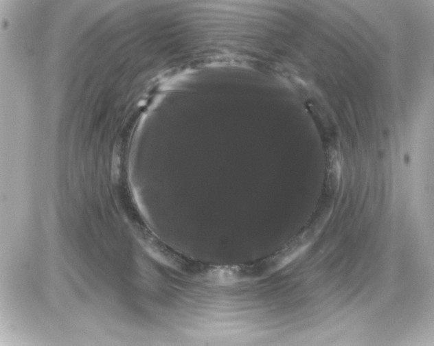 X0000085220080200704091943