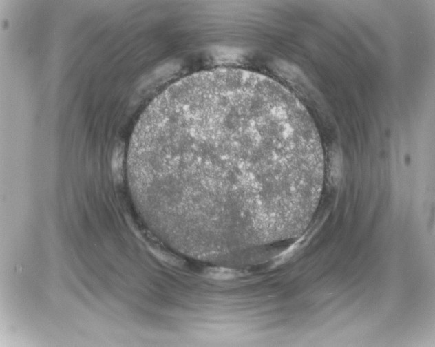 X0000085220082200704091943