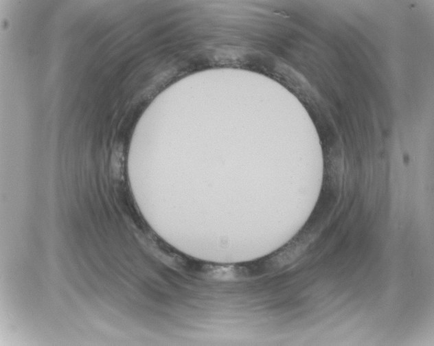 X0000085220083200704091943