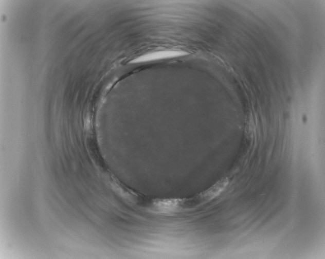 X0000085220084200704091943