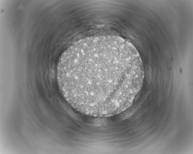 X0000085220085200704091943