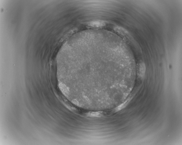 X0000085220086200704091943