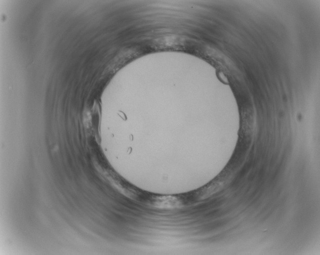 X0000085220087200704091943