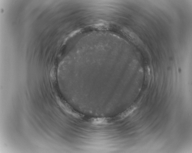 X0000085220088200704091943