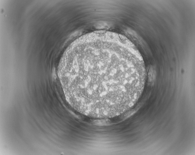 X0000085220089200704091943