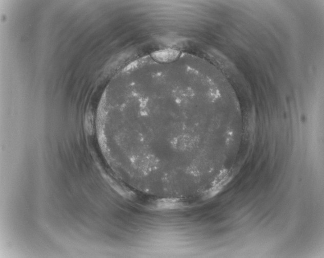 X0000085220090200704091943