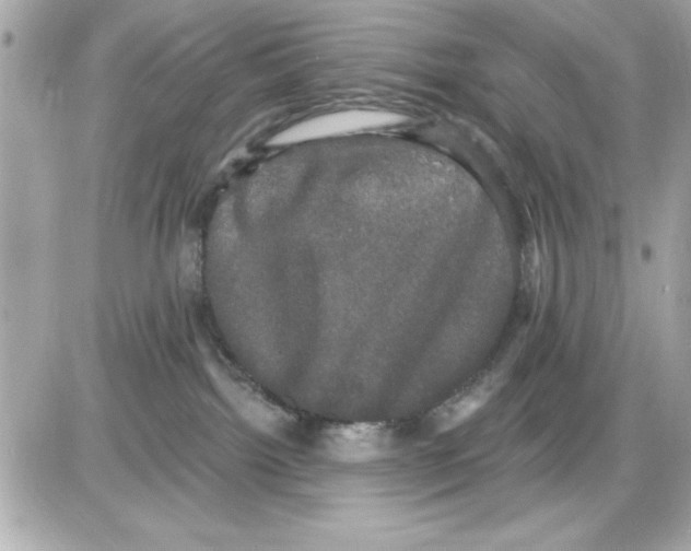 X0000085220092200704091943