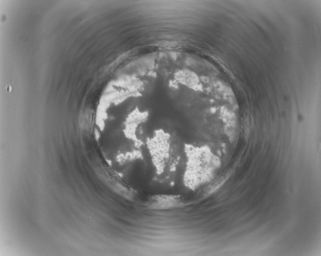 X0000085220093200704091943