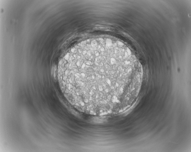 X0000085220094200704091943