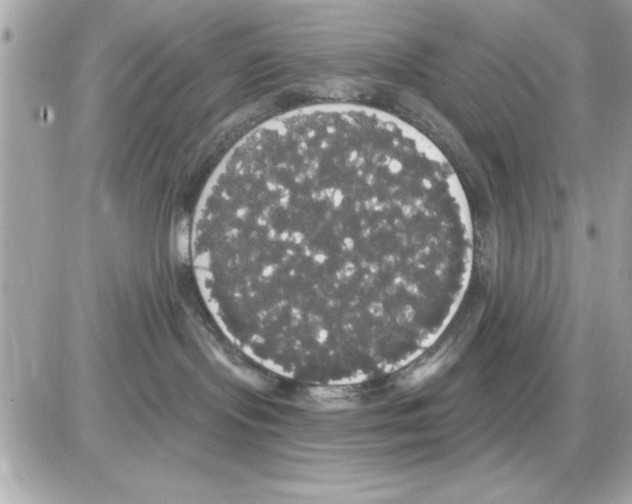 X0000085220095200704091943